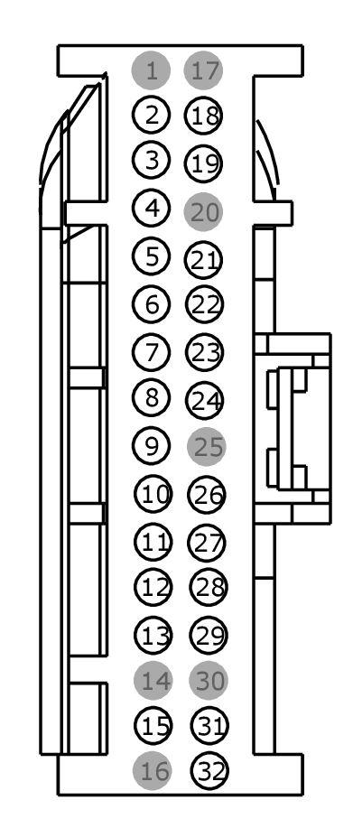GFDW101446