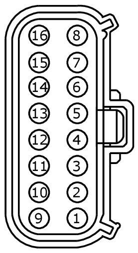 GFDW101558