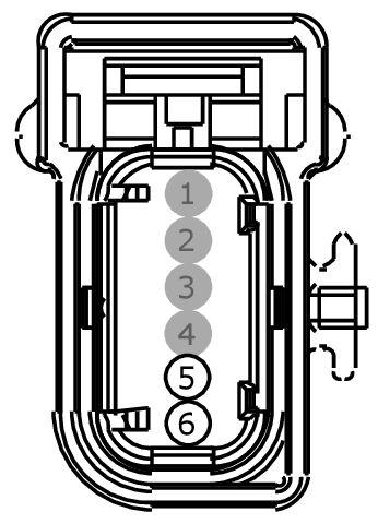 GFDW101743