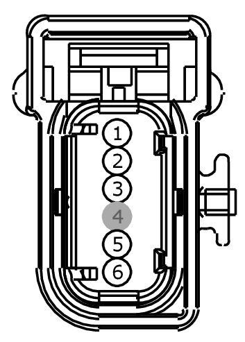 GFDW101764
