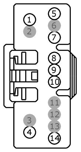 GFDW101767
