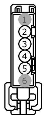 GFDW101797