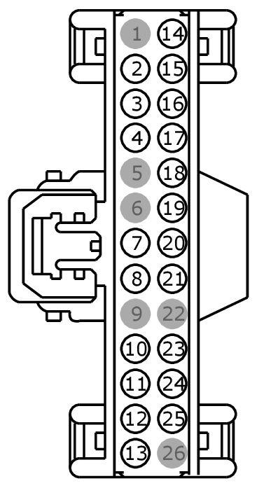 GFDW101879