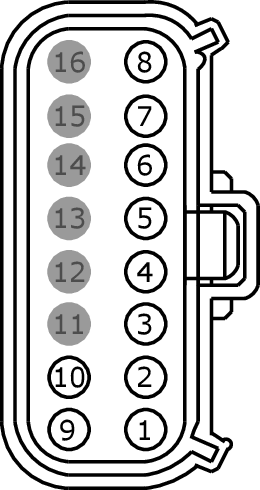 GFDW15303