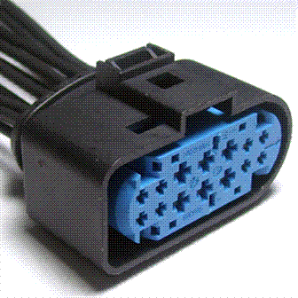 GFDW22269