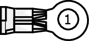 GFDW27817