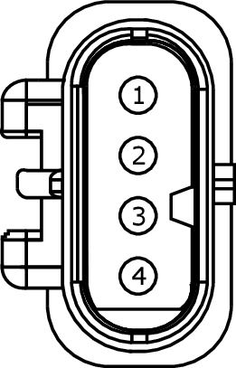 GFDW49753