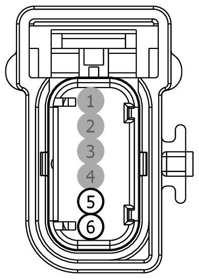 GFDWR119886