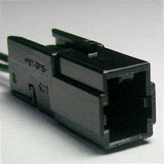 GFDWR1309