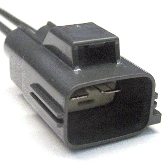 GFDWR15706