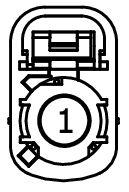 GFDWR197783