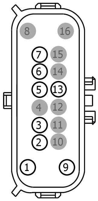 GFDWR56244