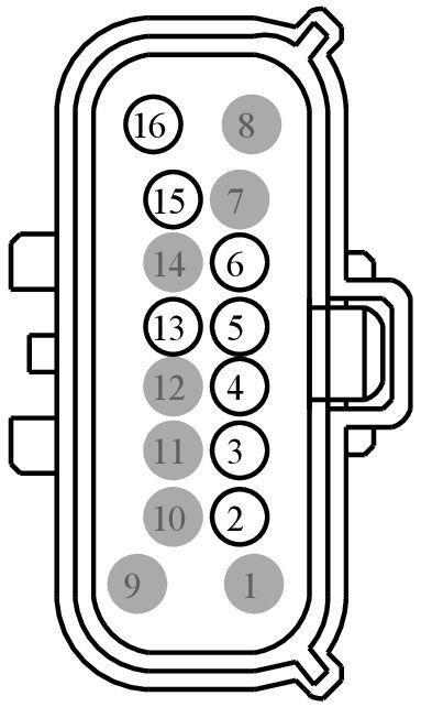 GFDWR56561