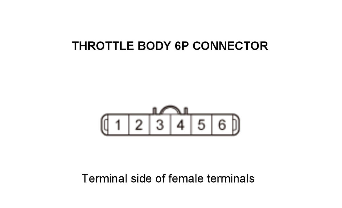GHH307438