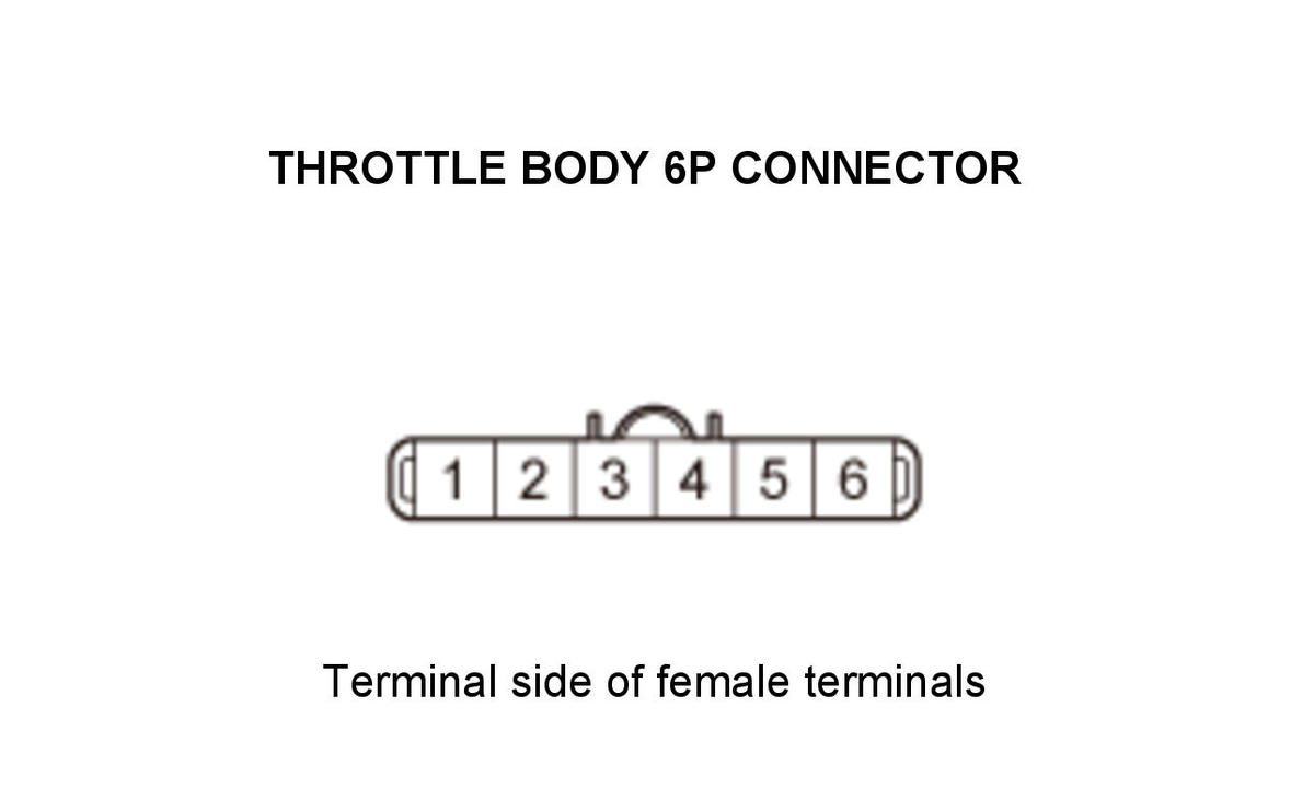 GHH307446