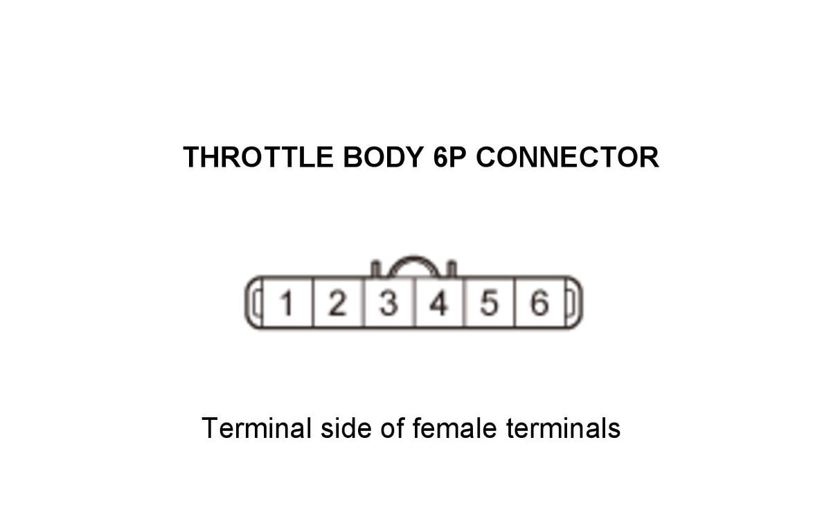 GHH307905