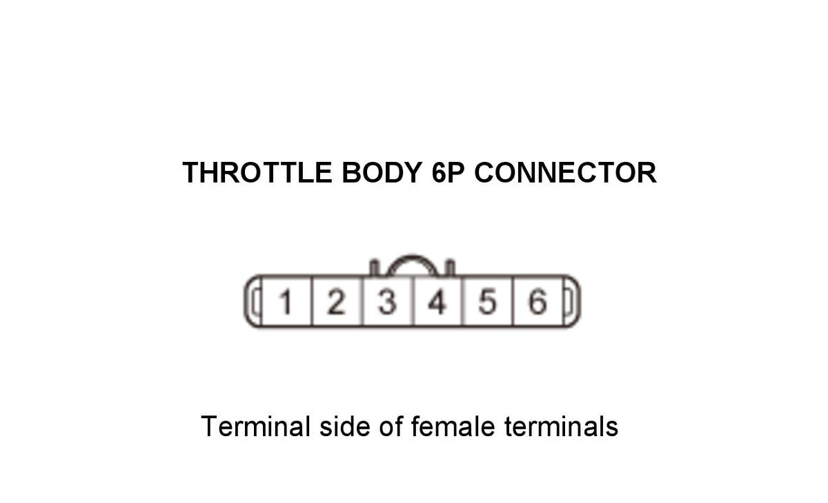 GHH307906
