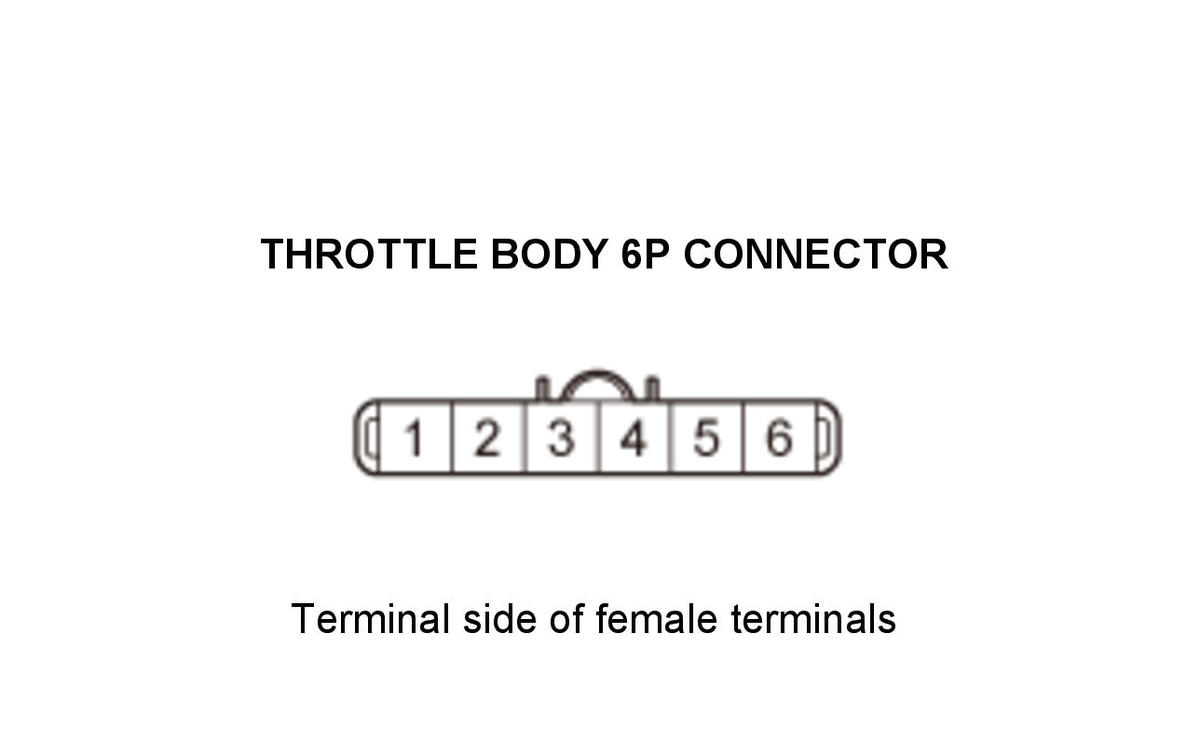 GHH307907