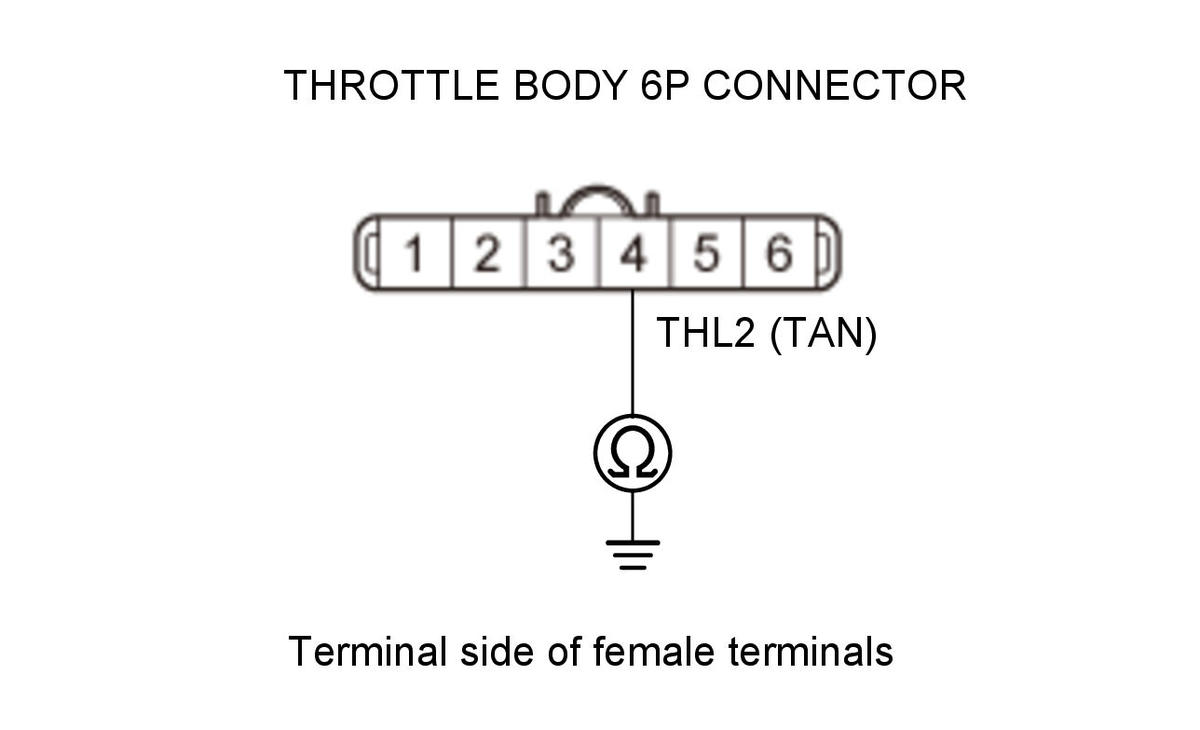 GHH318913