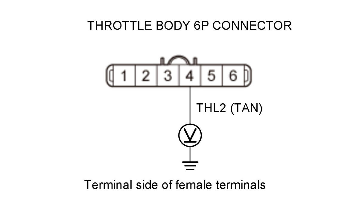 GHH318916