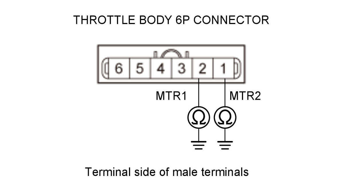 GHH319498