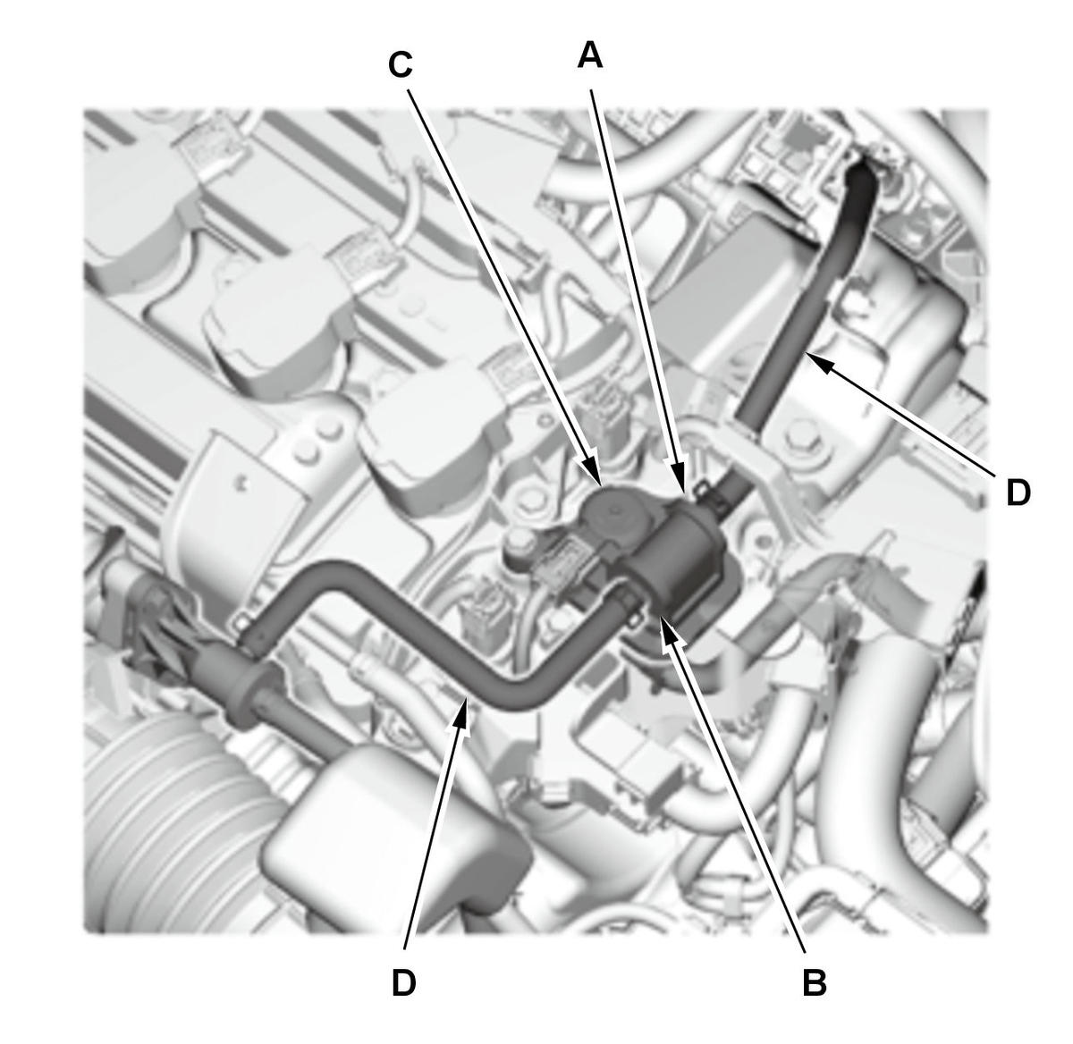 GHH425428