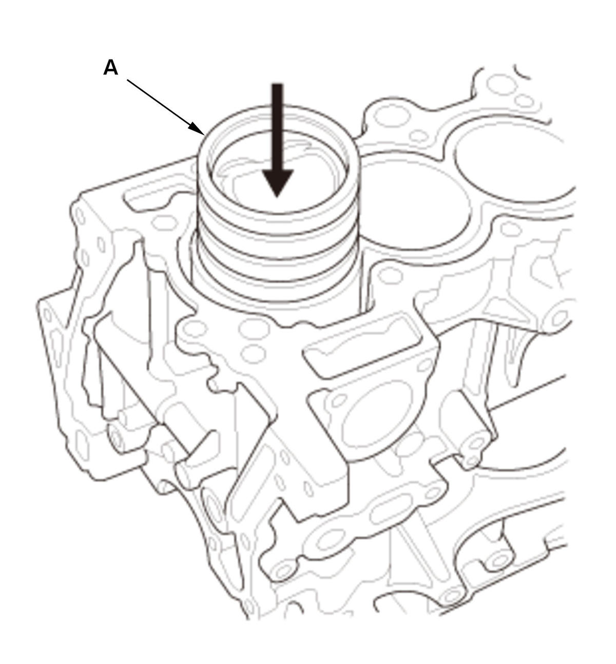 GHH427384