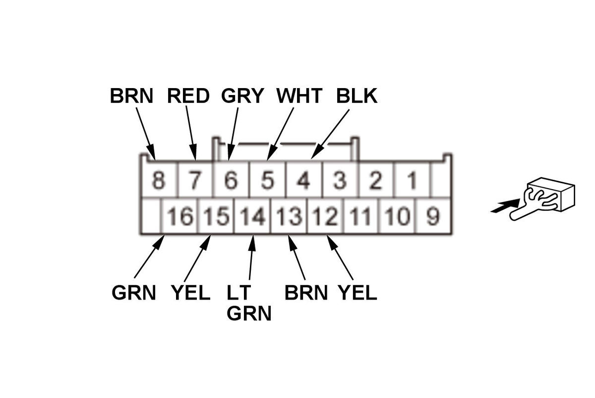 GHH428226