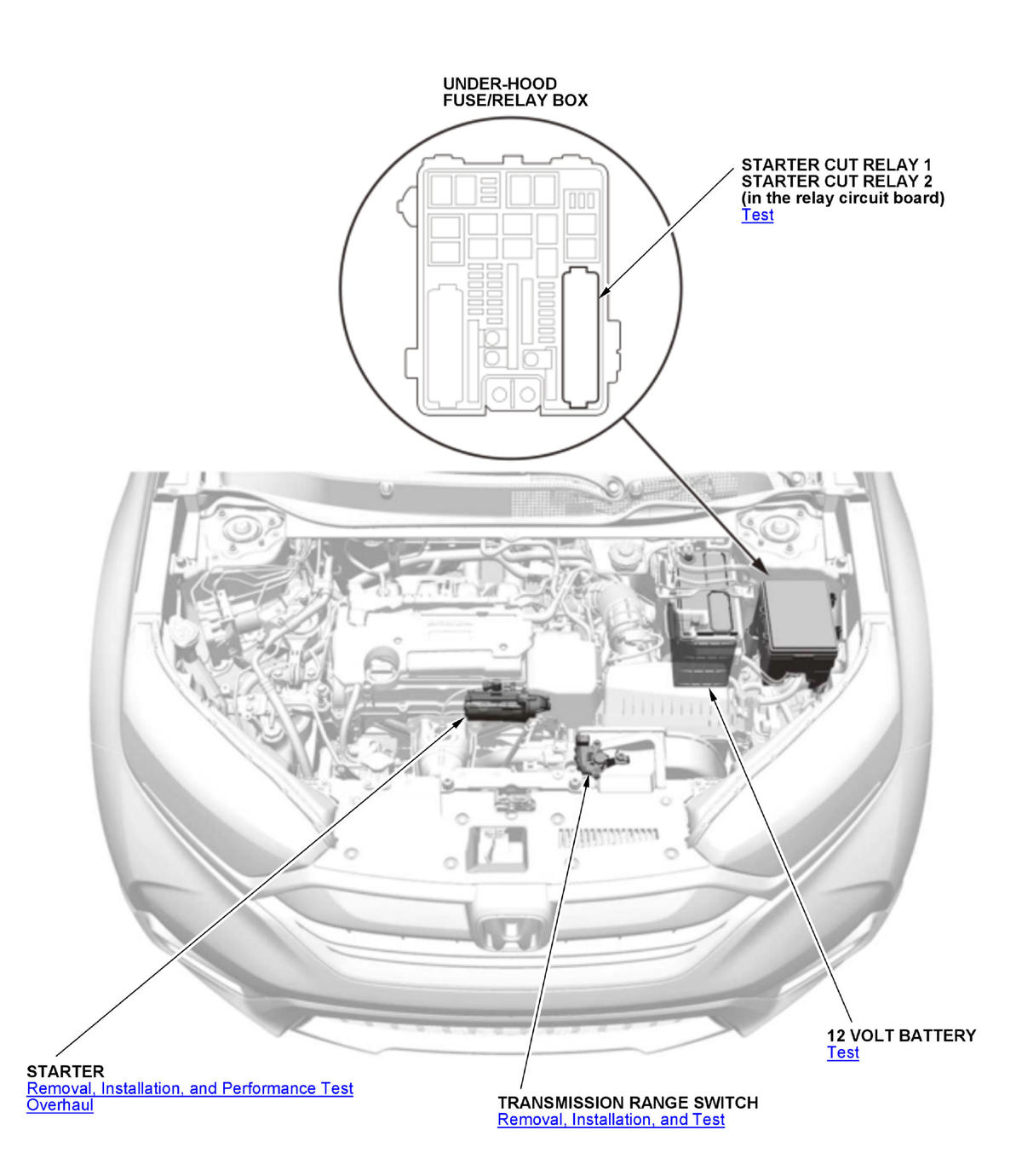 GHH431029