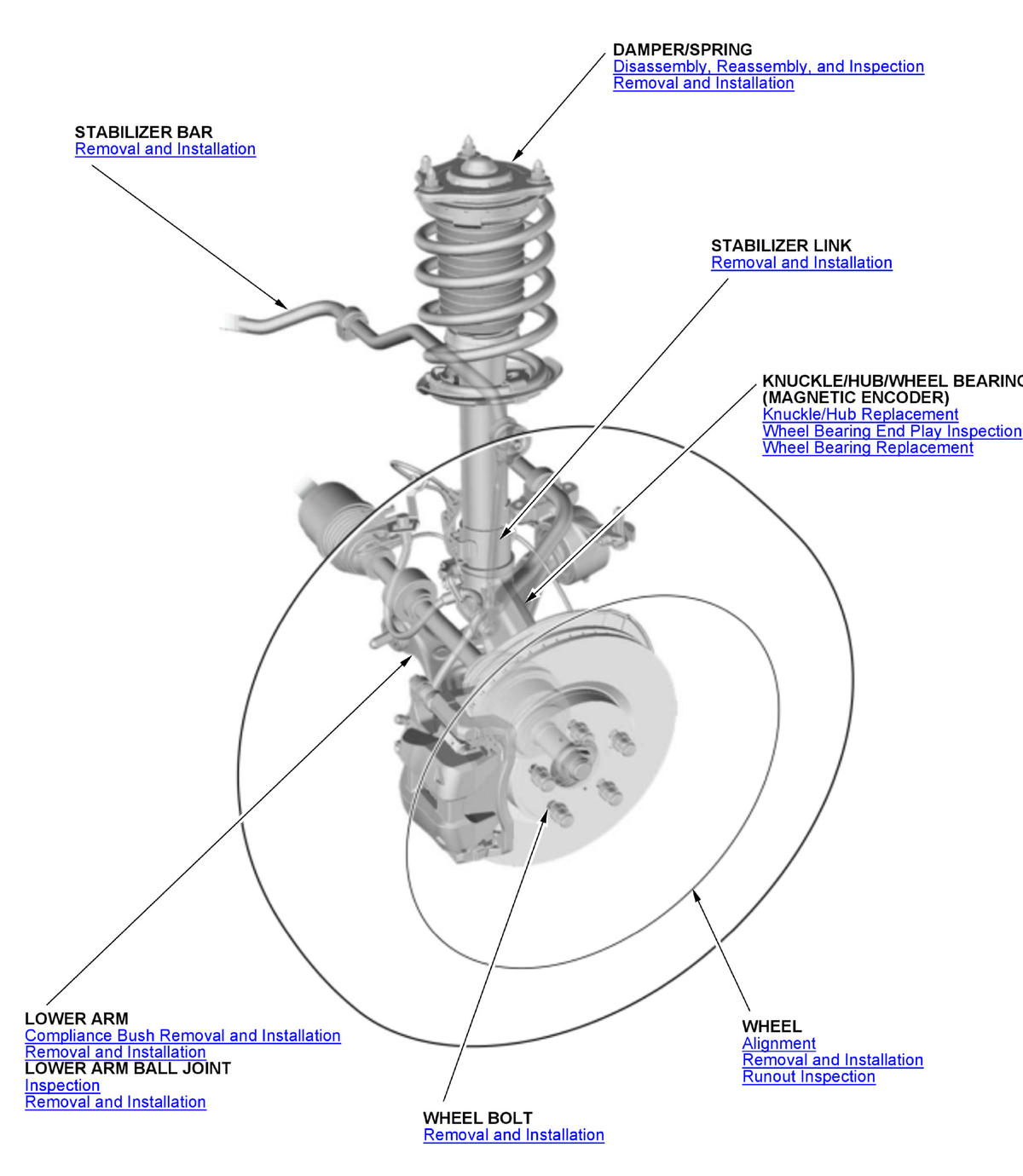 GHH431587