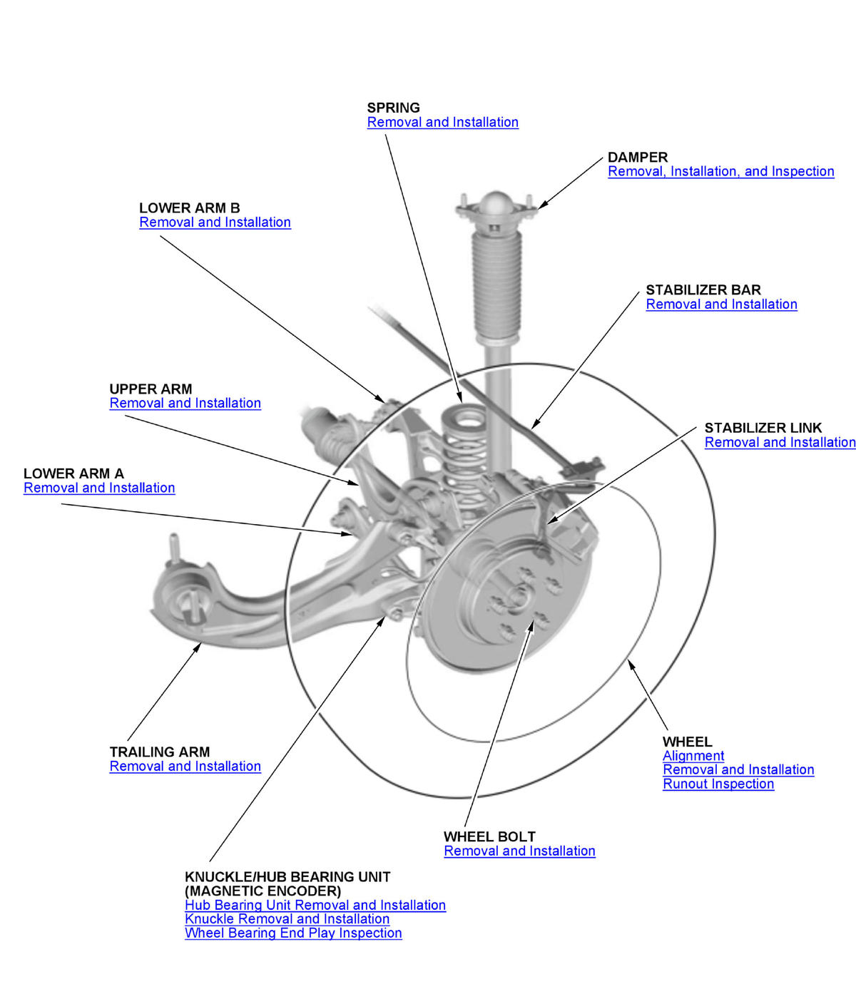 GHH431589