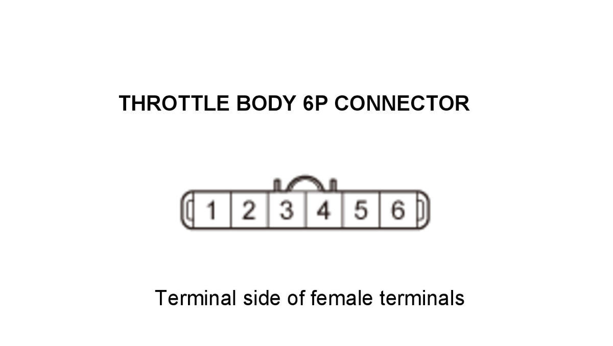 GHH434467