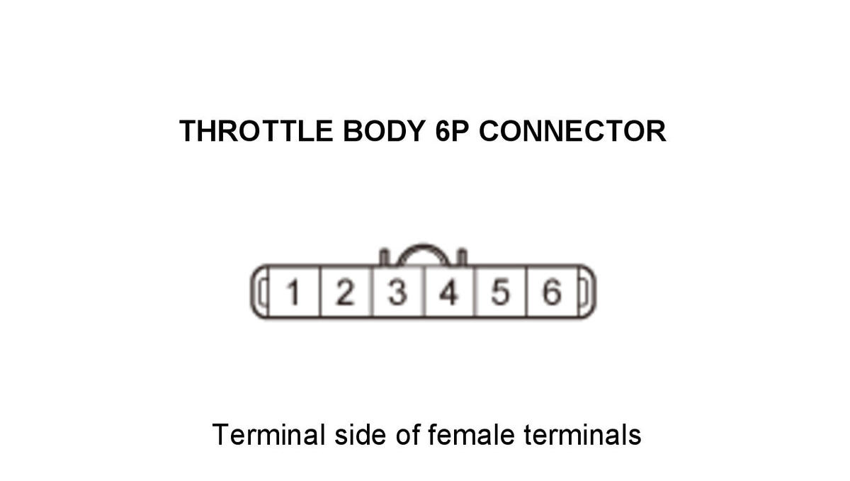 GHH434469