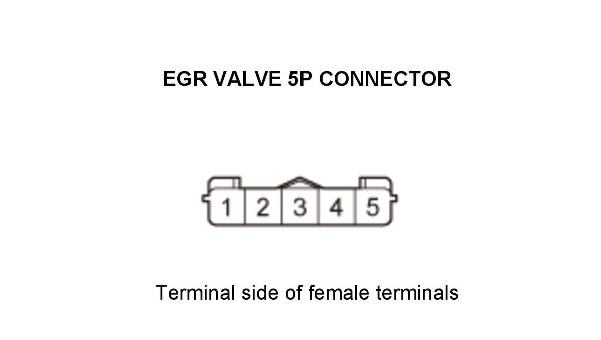 GHH434581