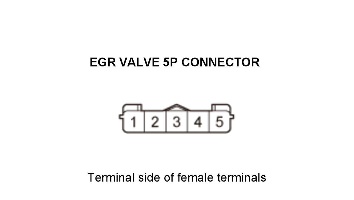 GHH434582