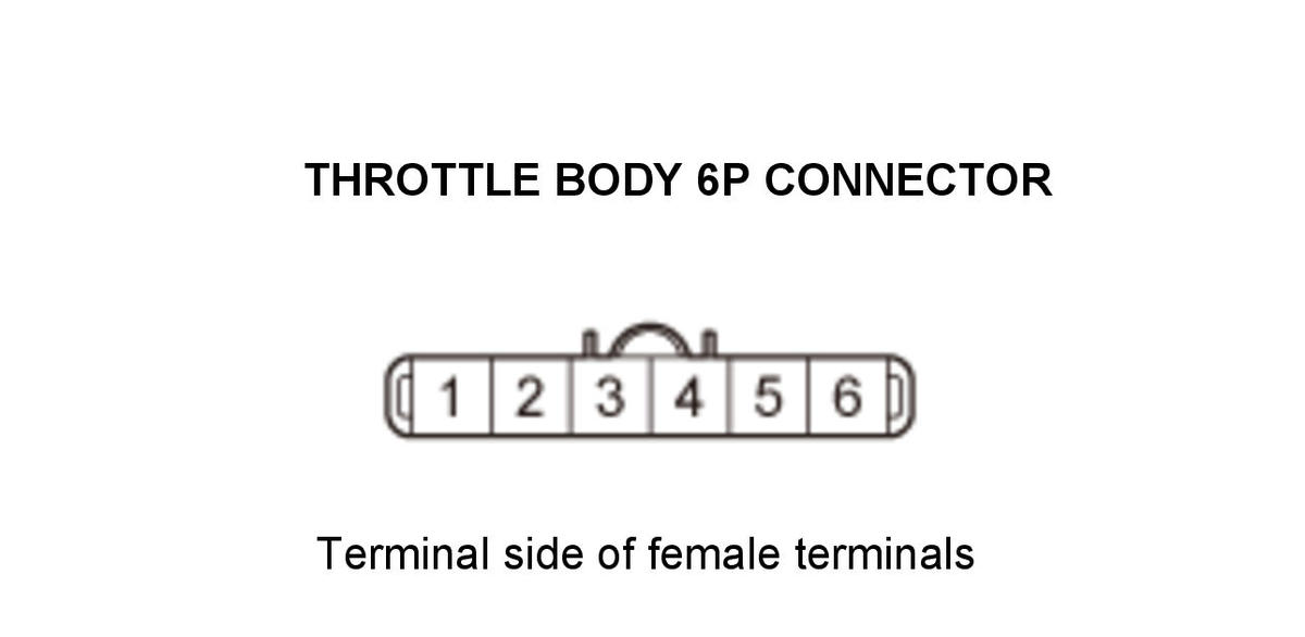 GHH434891