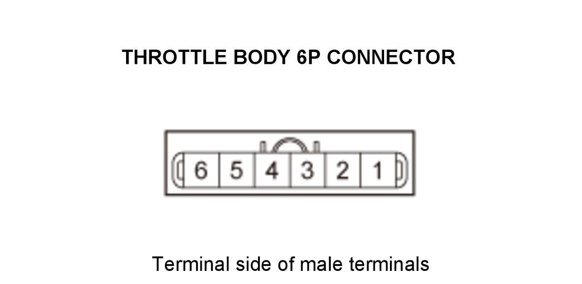 GHH434893