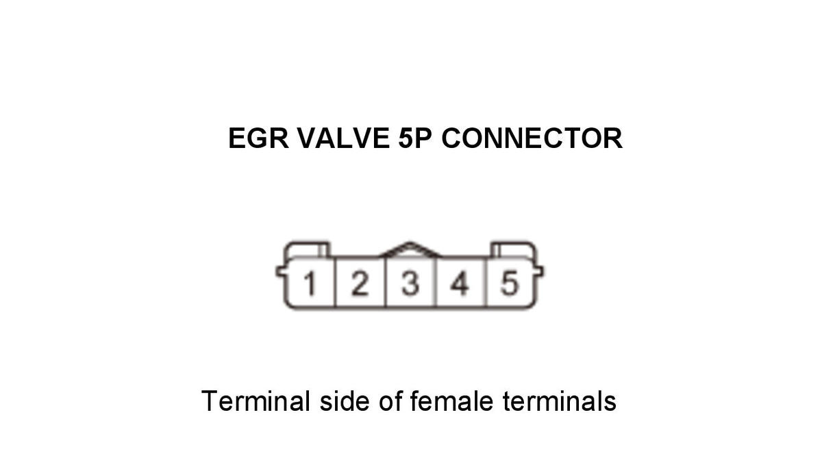 GHH434989