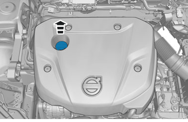 GLL1000981