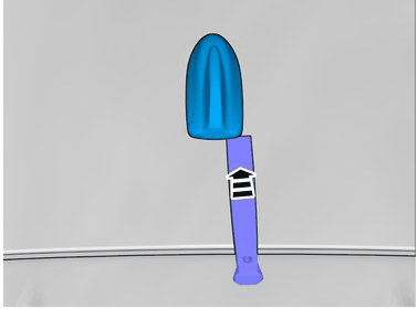 GLL1001453