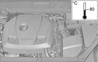 GLL1001828