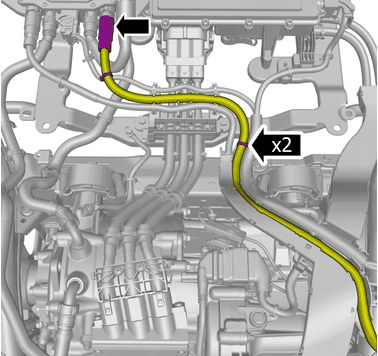 GLL1002025