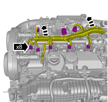 GLL1002580