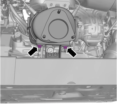 GLL1002807