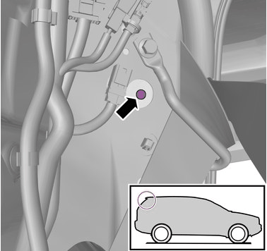 GLL1004566