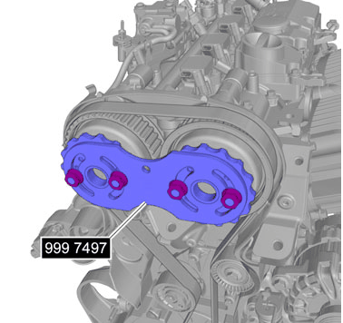 GLL1005606