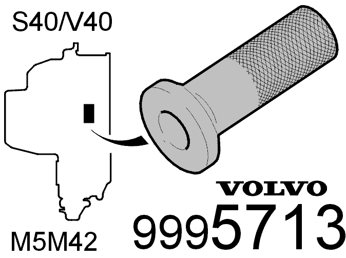 GLL100572