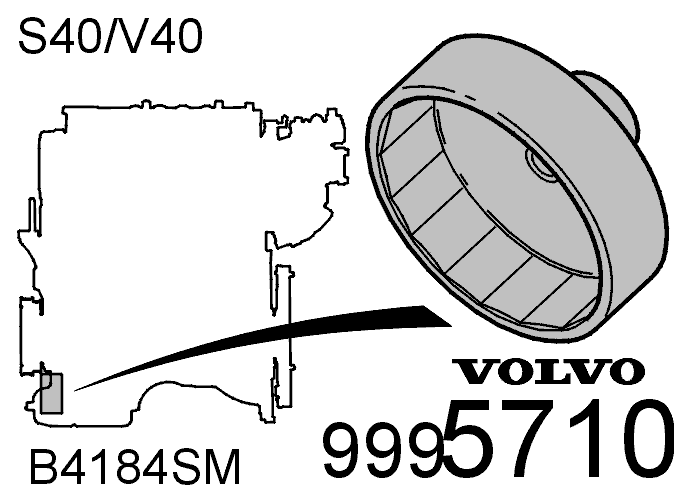 GLL100574