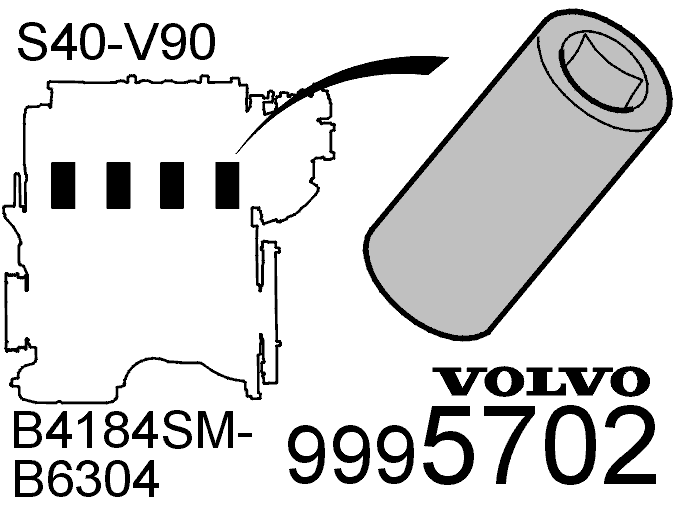 GLL100575