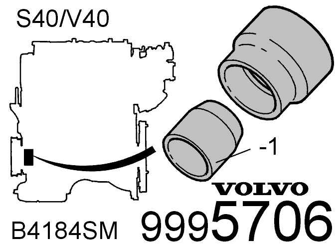 GLL100579